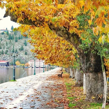 Kasoni , απόλυτα κεντρικό μπροστά στη λίμνη Кастория