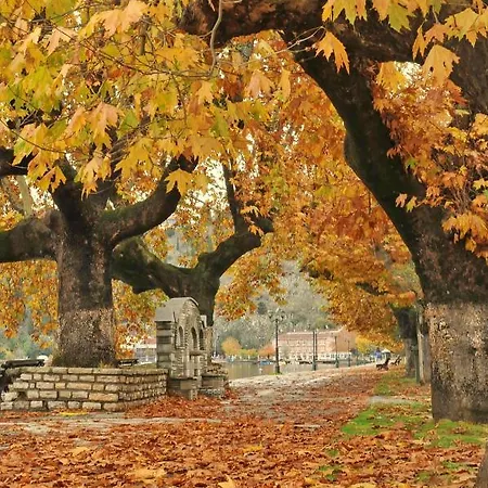 Апартаменты Kasoni , απόλυτα κεντρικό μπροστά στη λίμνη