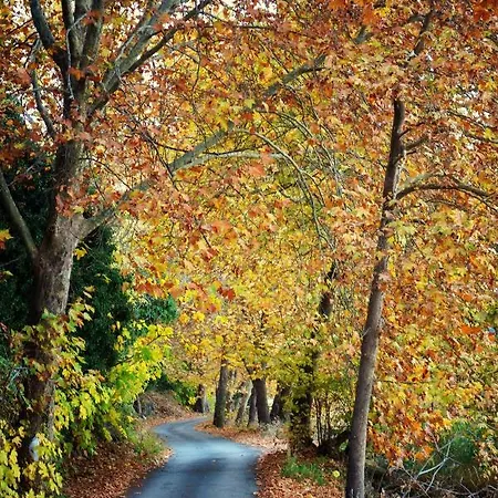 Kasoni , απόλυτα κεντρικό μπροστά στη λίμνη Апартаменты Кастория