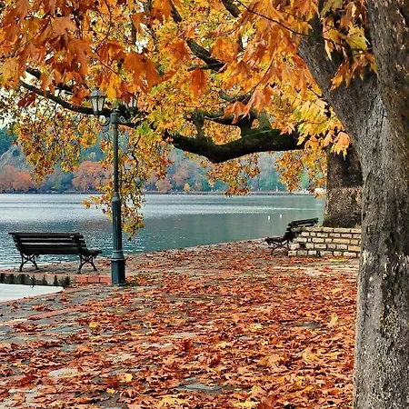 Апартаменты Kasoni , απόλυτα κεντρικό μπροστά στη λίμνη